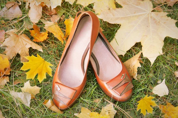 秋の紅葉と女性靴 — ストック写真