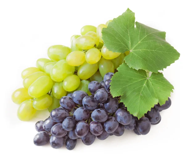 Grapes brunches isolated on white — Stock Photo, Image