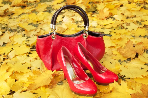 Sonbahar yaprakları ile kadın ayakkabı — Stok fotoğraf