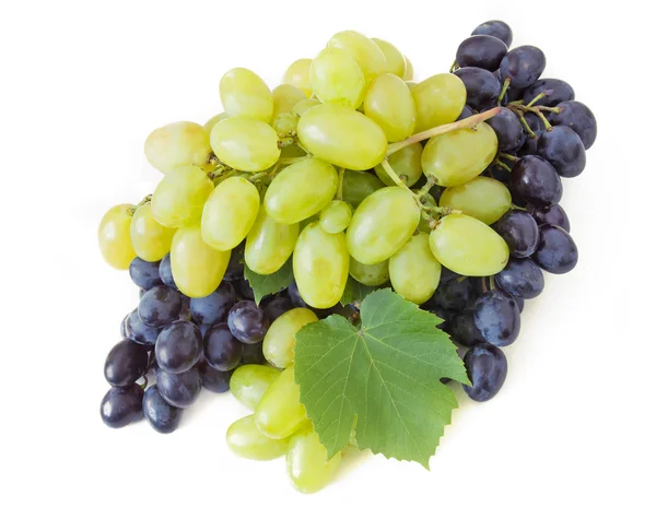 Grapes brunches isolated on white Royalty Free Stock Photos