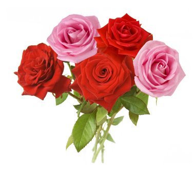 Gül çiçek demet izole üzerinde beyaz arka plan