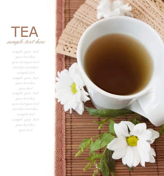 Chamomile tea breakfast (still life with tea cup and fresh green leaves isolated on white background with sample text)