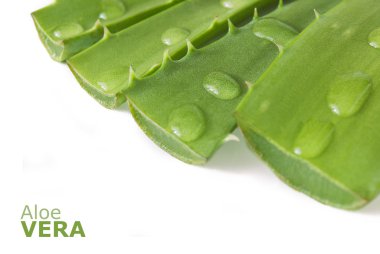 Aloe Vera beyaz arkaplanda izole bir şekilde bırakır