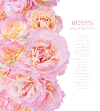 Çiçekler arka plan üzerinde beyaz örnek metin ile izole