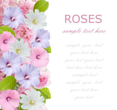 Çiçekler arka plan üzerinde beyaz örnek metin ile izole