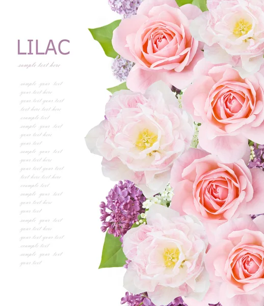 Květiny pozadí izolované na bílém s ukázkovým textem — Stock fotografie