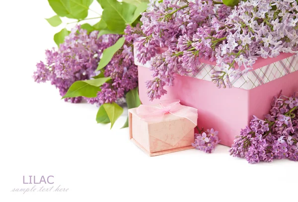 Still life with lilac flowers — Stock Photo, Image