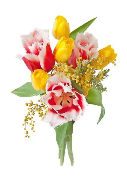 Tulpen, mimosa en narcissus bloemen bos geïsoleerd op wit met voorbeeldtekst — Stockfoto