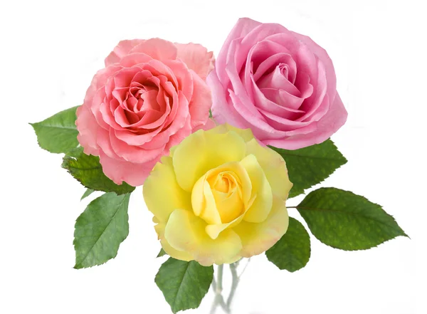 ピンクと黄色のバラの束に分離ホワイト バック グラウンド — ストック写真