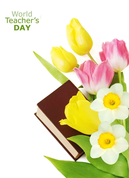 Ημέρα του δασκάλου (τουλίπες και δέσμη Νάρκισσος και βιβλίο που απομονώνονται σε λευκό φόντο με δείγμα κειμένου) — Φωτογραφία Αρχείου