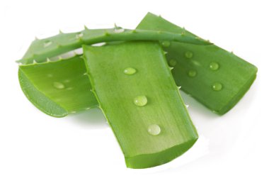 Aloe Vera beyaz arkaplanda izole bir şekilde bırakır
