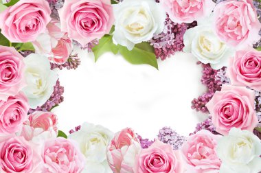 çerçeve beyaz zemin üzerine pembe Gül