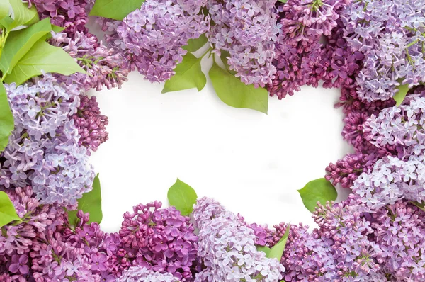 Bouquet de fleurs de lilas isolé sur fond blanc — Photo