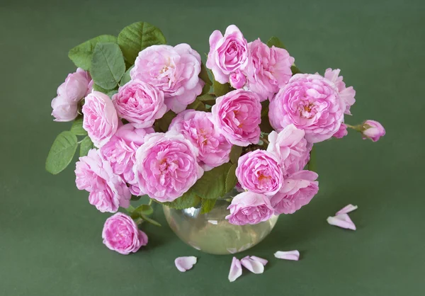 緑の背景の花瓶の美しいピンクのバラ — ストック写真