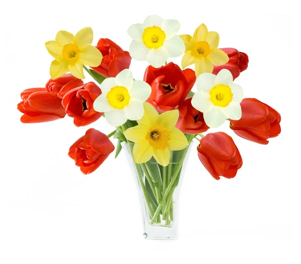Mooie Tulpen Een Vaas Een Witte Achtergrond — Stockfoto