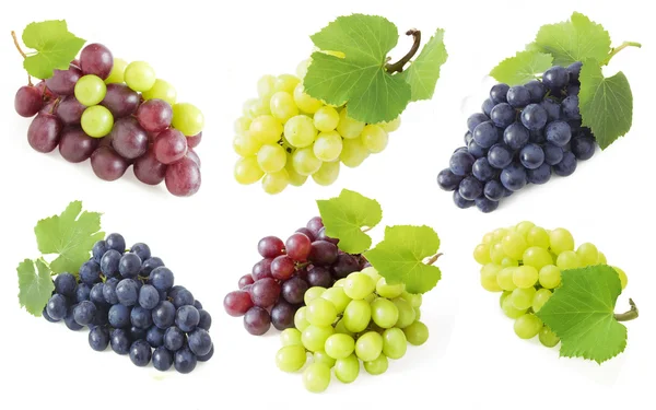 Set Fresh Ripe Grapes Isolated White Background — Stock Photo, Image
