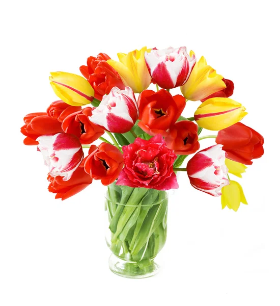 Rood, roze en gele tulpen bos geïsoleerd op witte achtergrond met voorbeeldtekst — Stockfoto