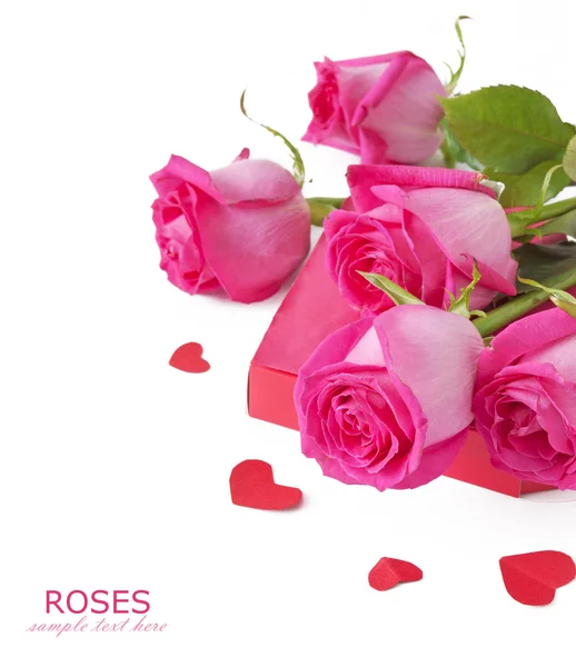 Hermosas Rosas Sobre Fondo Blanco Plantilla Para Tarjeta Felicitación Con — Foto de Stock