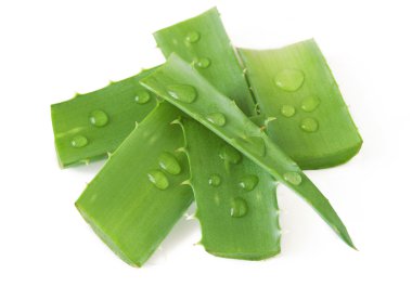 Aloe Vera beyaz arkaplanda izole bir şekilde bırakır