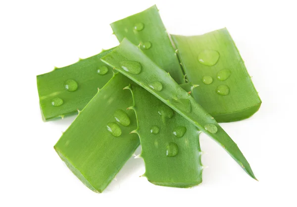 Feuilles d'aloe vera isolées sur fond blanc — Photo