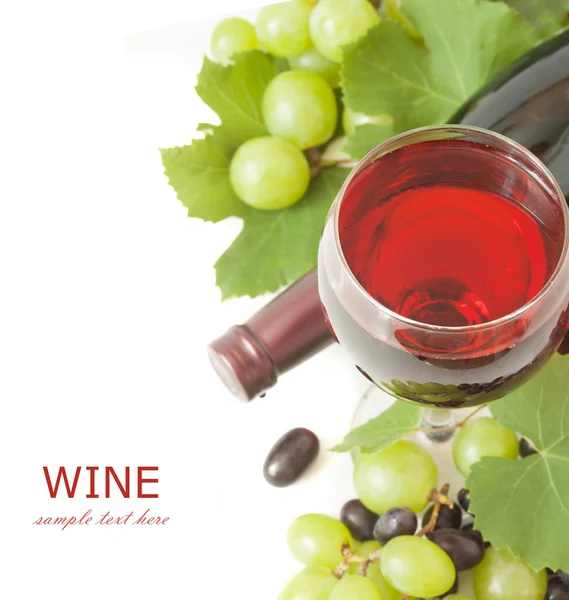 Vin Rouge Bouteille Fond Blanc — Photo