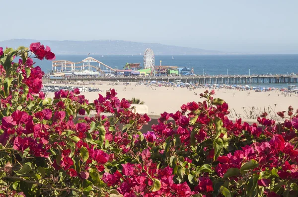 Strand von Santa Monica — Stockfoto