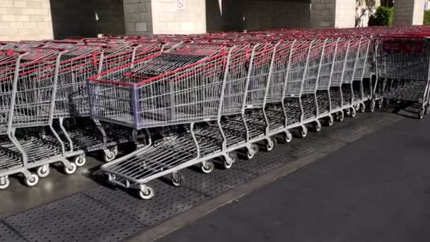 Many Empty Shopping Carts Row Grocery Store — 비디오