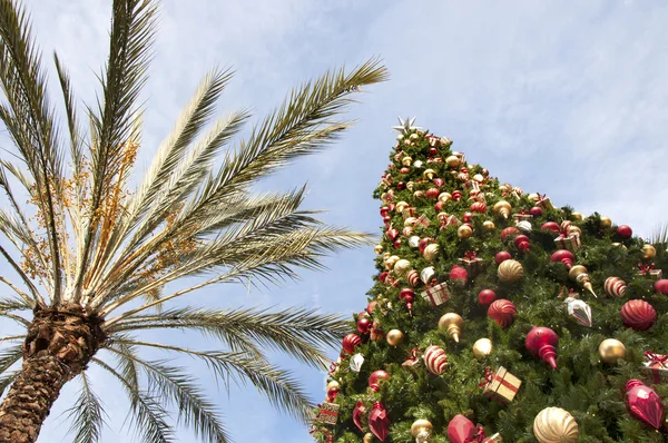 Natale in California — Foto Stock