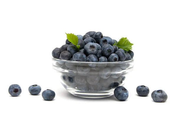 Ripe blueberries closeup on a white background — Stock Photo, Image