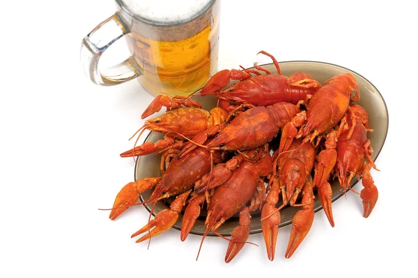 Crayfish and beer closeup on a white background — Stock Photo, Image