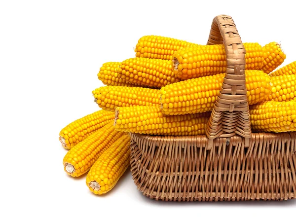 Cesta con espigas maduras de maíz sobre un fondo blanco — Foto de Stock