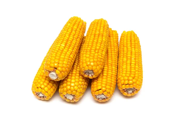 Six mature ear of corn on a white background — Stock Photo, Image