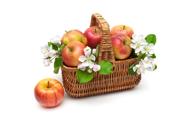 Ripe apples in a wicker basket on a white background — Stock Photo, Image