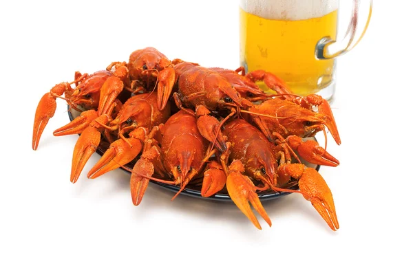 Boiled crawfish on a plate on a white background. — Stock Photo, Image