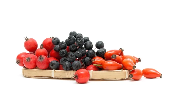 Espino cereza, garbanzo y rosa silvestre aislados en el dorso blanco — Foto de Stock