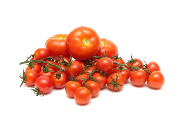 Différentes tomates en gros plan sur un fond blanc — Photo