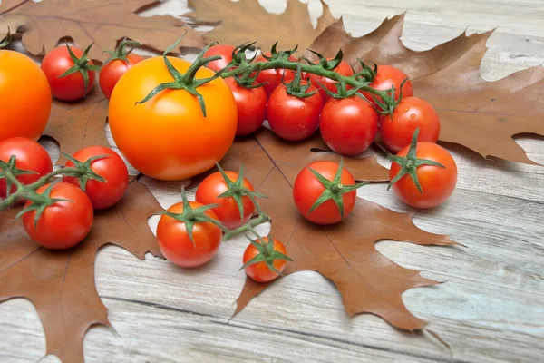 Tomates maduros e folhas de outono em um fundo de madeira — Fotografia de Stock