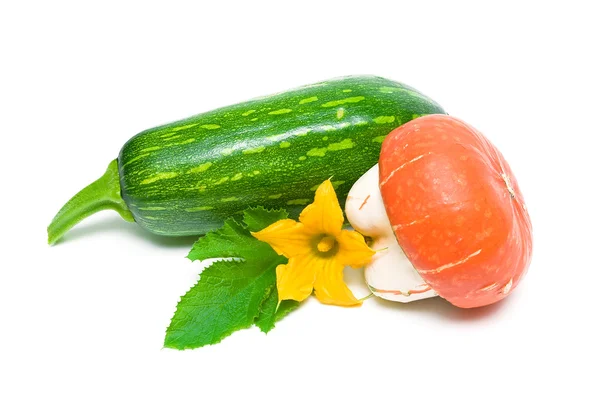 Pompoen en courgette geïsoleerd op een witte achtergrond — Stockfoto