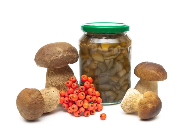 Fresh and marinated mushrooms and a bunch of red rowan berries o — Stock Photo, Image