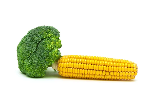 Brócolis e milho na espiga isolados sobre fundo branco — Fotografia de Stock