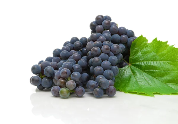 Cacho de uvas maduras closeup no fundo branco com reflexão — Fotografia de Stock