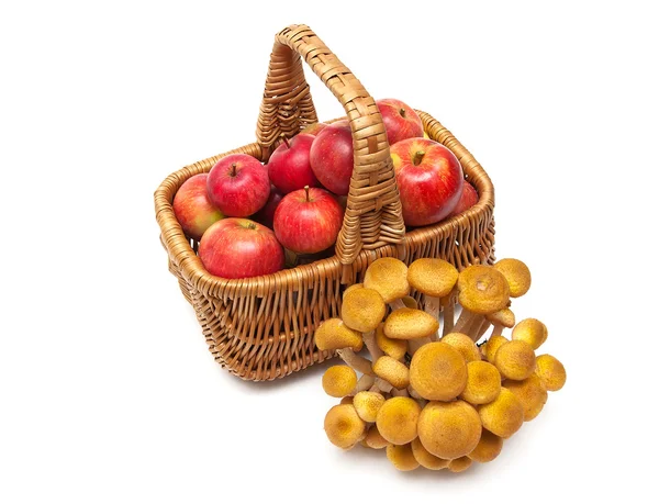 Rode appels in een mand en paddestoelen geïsoleerd op een witte pagina — Stockfoto