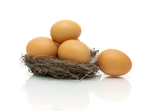 Chicken eggs in a nest on a white background with reflection — Stock Photo, Image