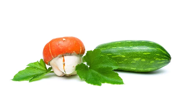 Hortalizas frescas: calabaza y calabacín aislados sobre un respaldo blanco —  Fotos de Stock