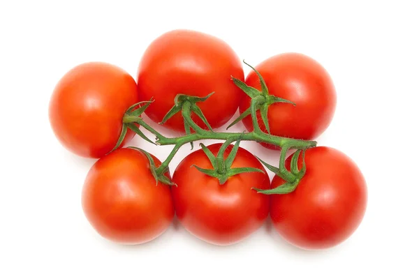 Bund reifer roter Tomaten in Großaufnahme auf weißem Hintergrund — Stockfoto