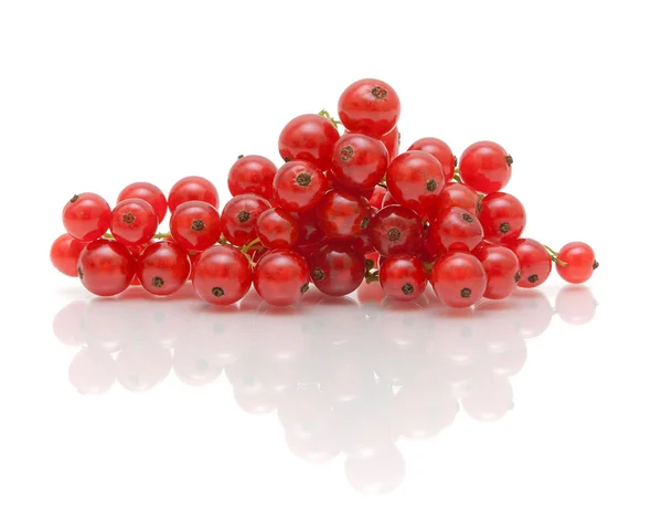 Bayas de grosella roja jugosas maduras sobre un fondo blanco con reflejos — Foto de Stock