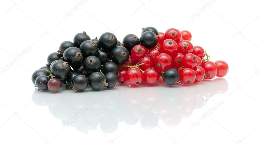 ripe berries black and red currants on a white background with r
