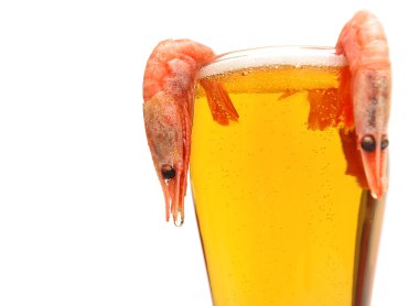 Lager bira cam ve beyaz zemin üzerine haşlanmış karides