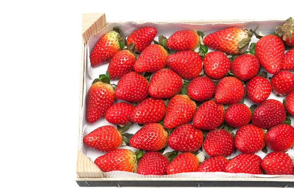 Ripe strawberries in a wooden box on a white background — Stock Photo, Image