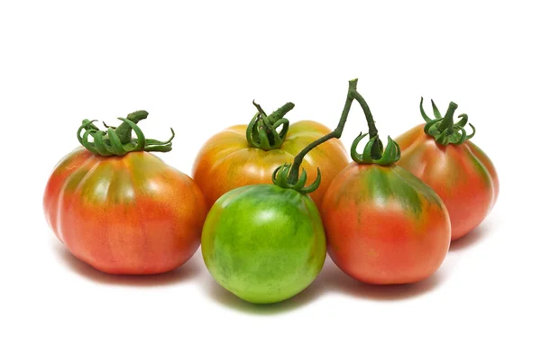 Tomates closeup isolado no fundo branco — Fotografia de Stock